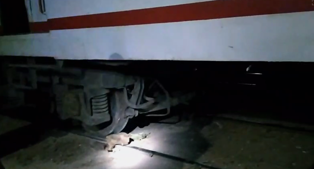 نجاح استعدال عجلات عربة قطار على القضبان 