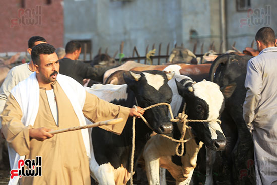 السوق السوق