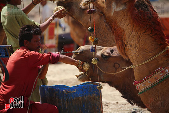 أسواق باكستان تستعد للعيد