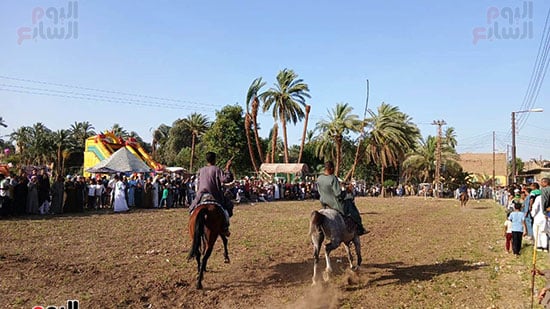 الخيل-في-المرماح-(1)