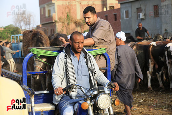 حركة النقل حركة النقل