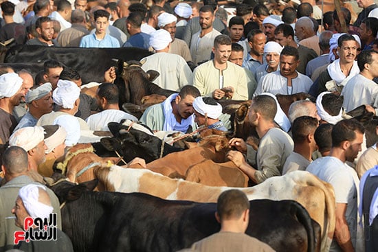 إقبال على سوق مزغونة بالبدرشين إقبال على سوق مزغونة بالبدرشين
