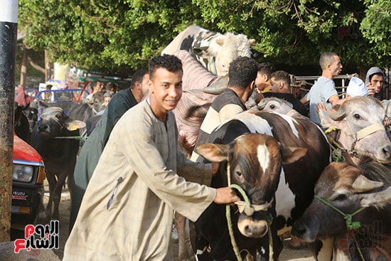 استعدادات عيد الاضحى استعدادات عيد الاضحى