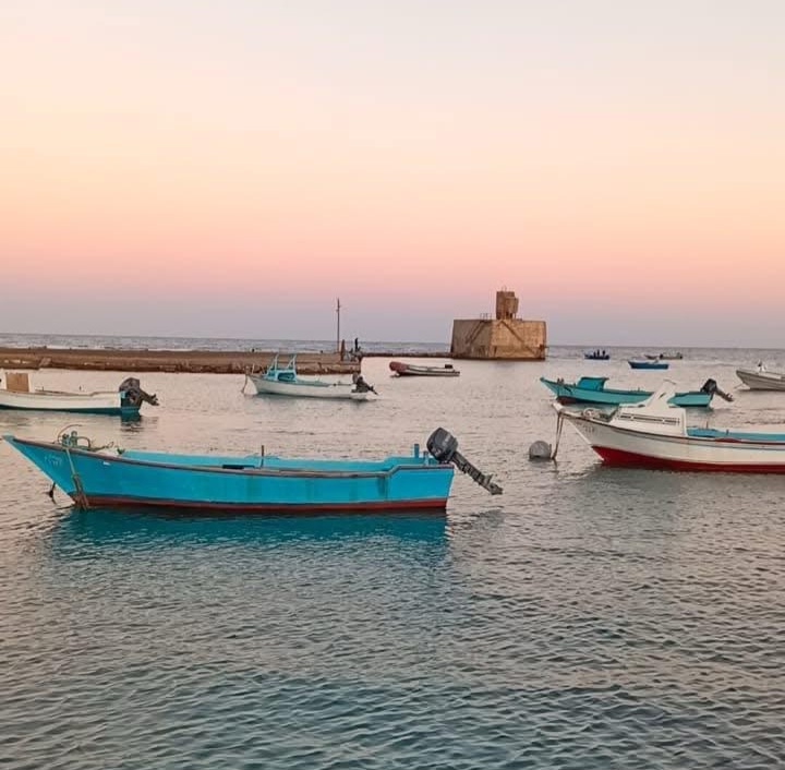 منظر الطبيعة بالقصير