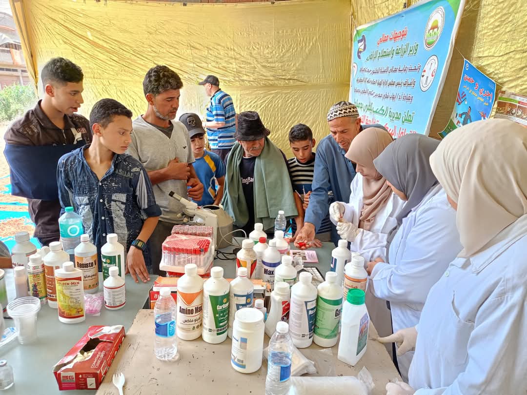 قوافل بيطرية مجانية