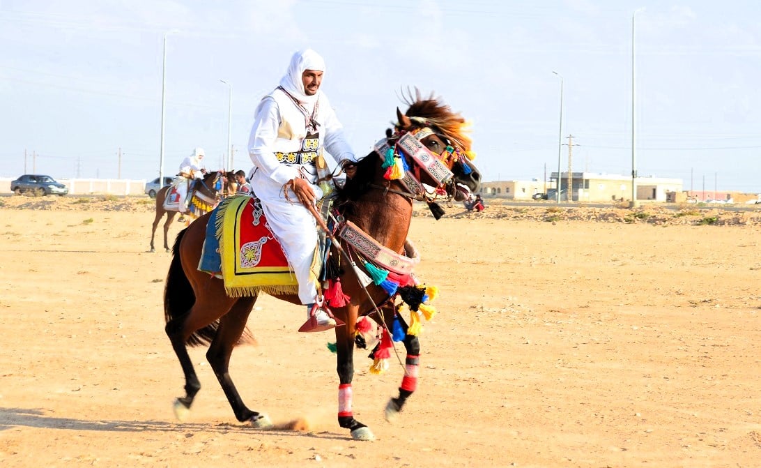شاب بدوي بالملابس التراثية الكاملة على فرس بالزينة التراثية