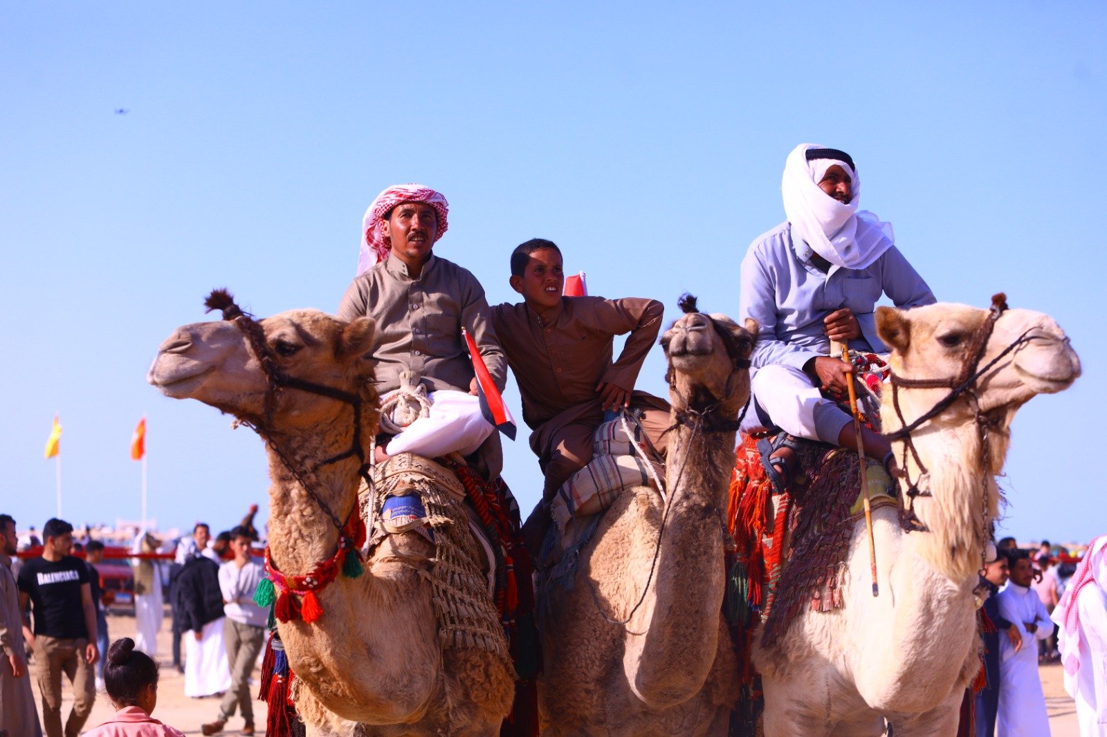 الهجانة