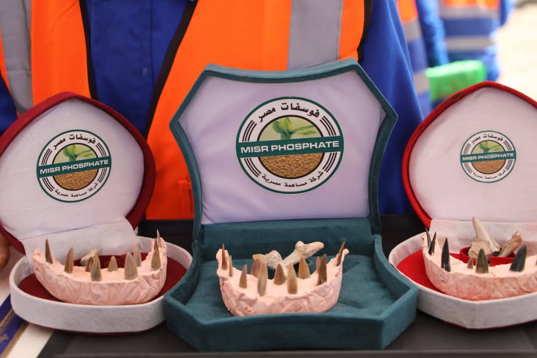 عينات من إنتاج خام الفوسفات
