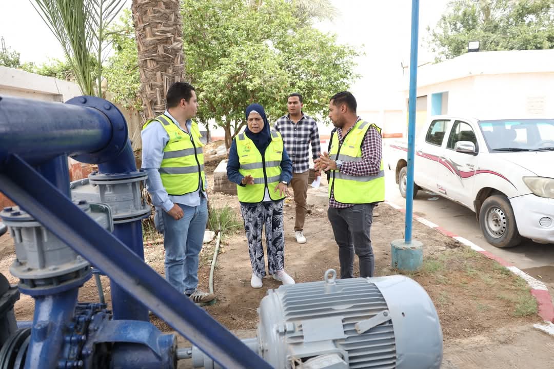 المهندسة دينا عمر تتفقد عدد من المشروعات المهندسة دينا عمر تتفقد عدد من المشروعات
