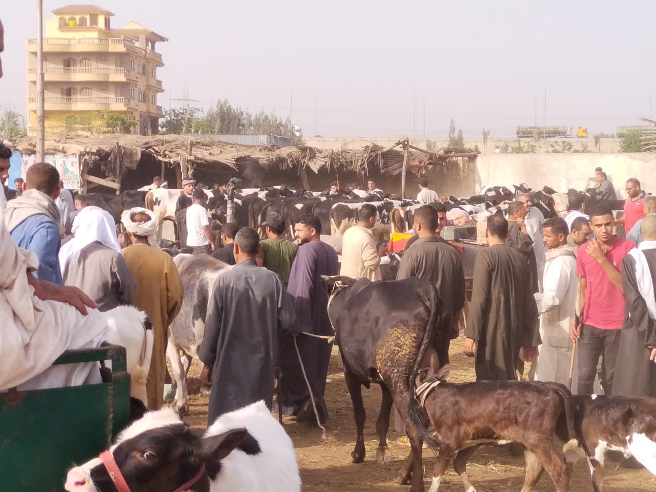 زحام كبير بالسوق_1 زحام كبير بالسوق_1