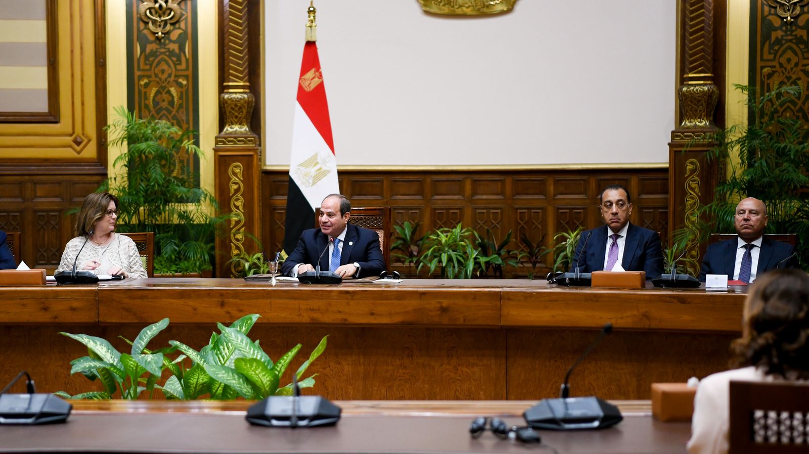 الرئيس عبد الفتاح السيسي الرئيس عبد الفتاح السيسي