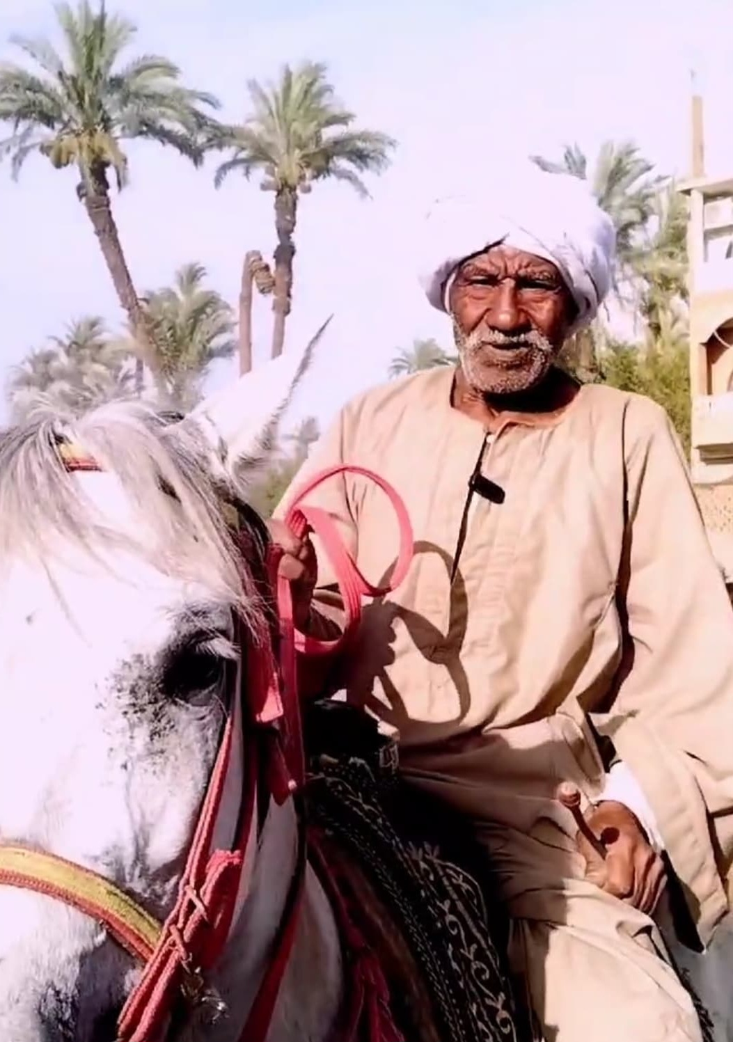 أكبر خيال في قنا