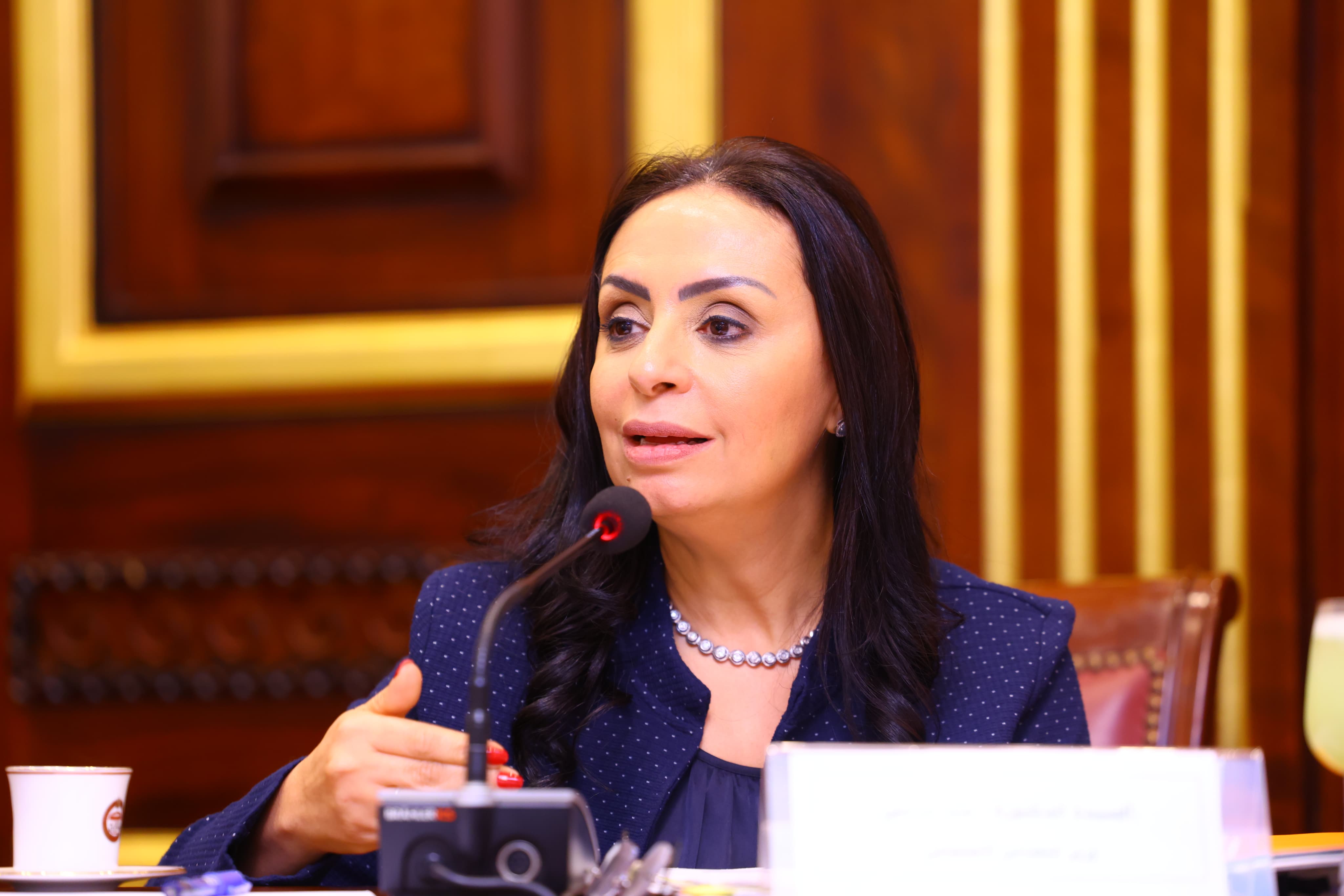 الدكتورة مايا مرسى الدكتورة مايا مرسى