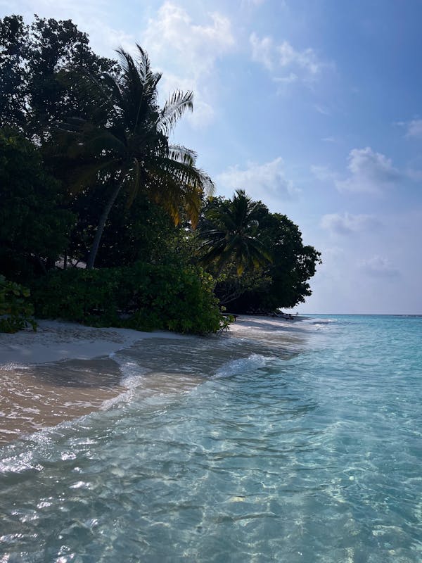 تفسير حلم البحر 1 تفسير حلم البحر 1