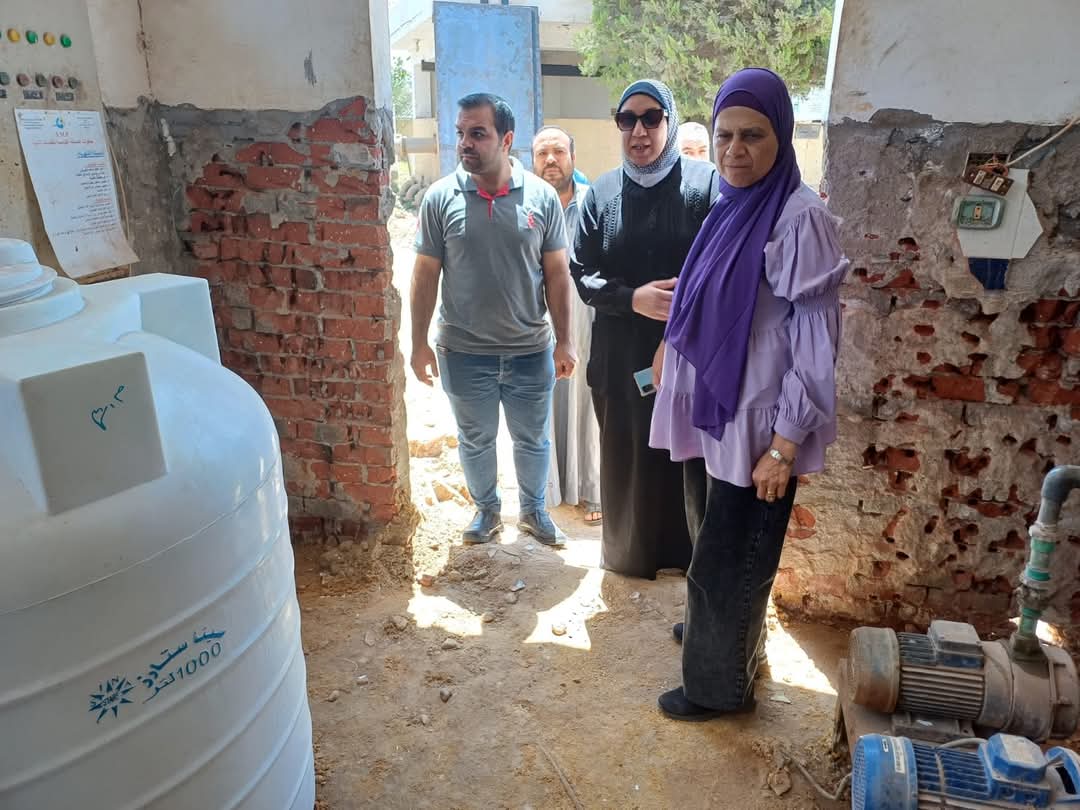 المهندسة دينا عمر المهندسة دينا عمر