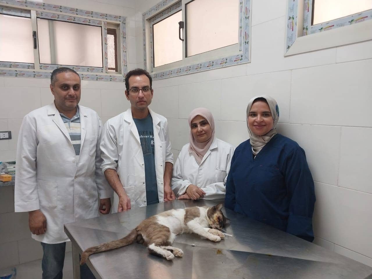 الفريق الطبى الفريق الطبى