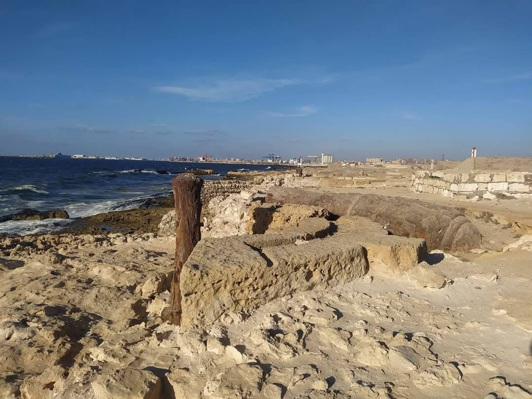 شكل طابية الحوض الجاف