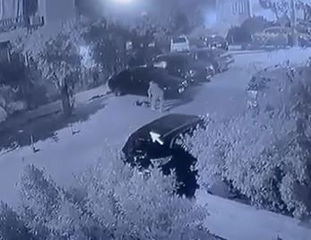 تعذيب الكلب