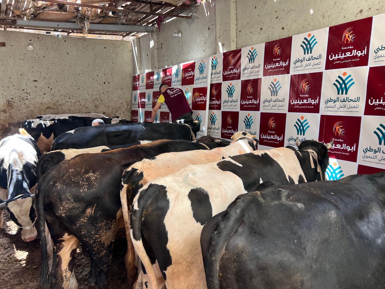 799dc988-f4fb-489c-9489-60915bc5f074 799dc988-f4fb-489c-9489-60915bc5f074