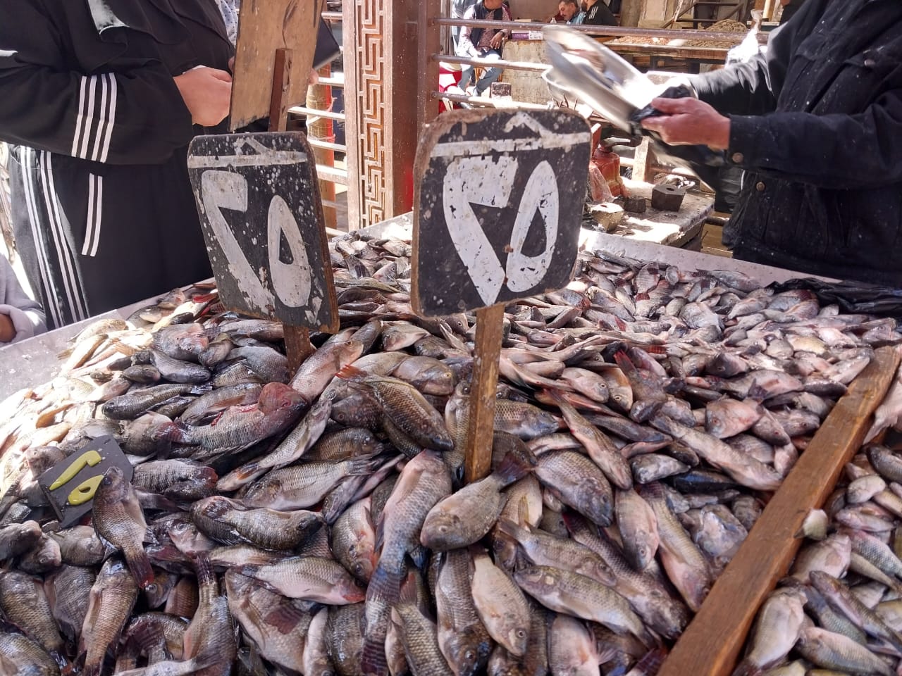 انواع الشبار الاخضر في دمياط