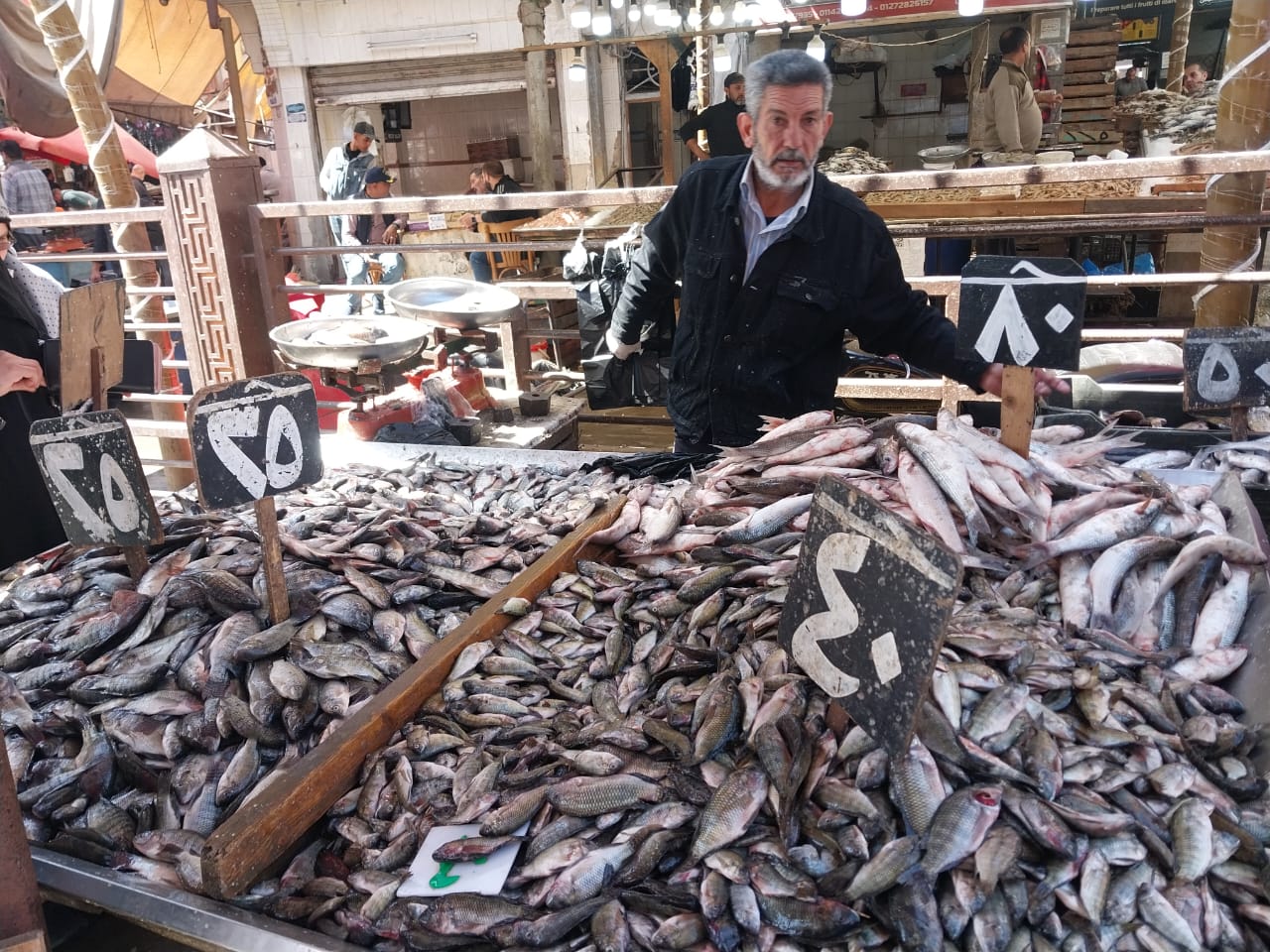 اسماك الشبار