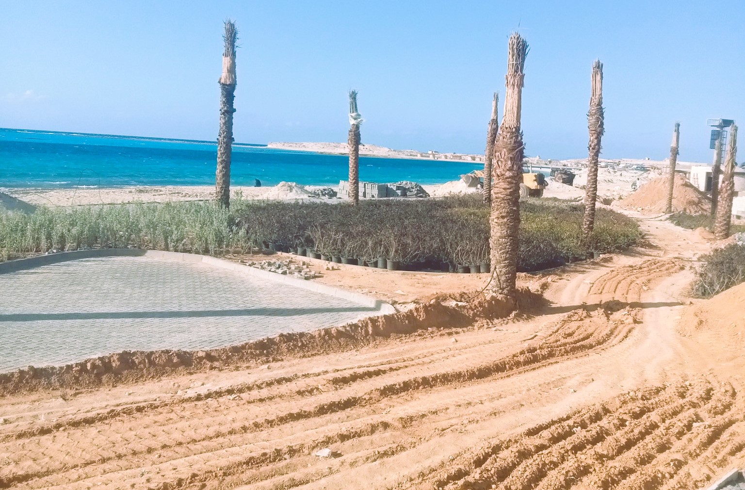 جانب من اعمال تطوير الكورنيش - مطروح جانب من اعمال تطوير الكورنيش - مطروح