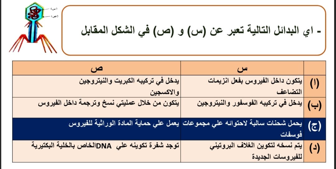السؤال الرابع