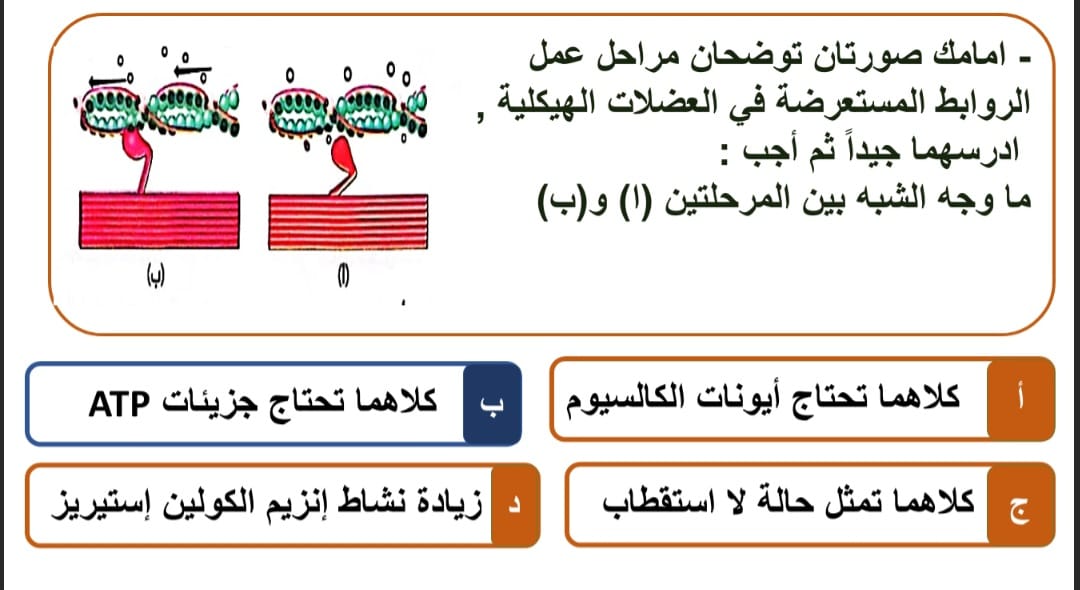 السؤال الثالث
