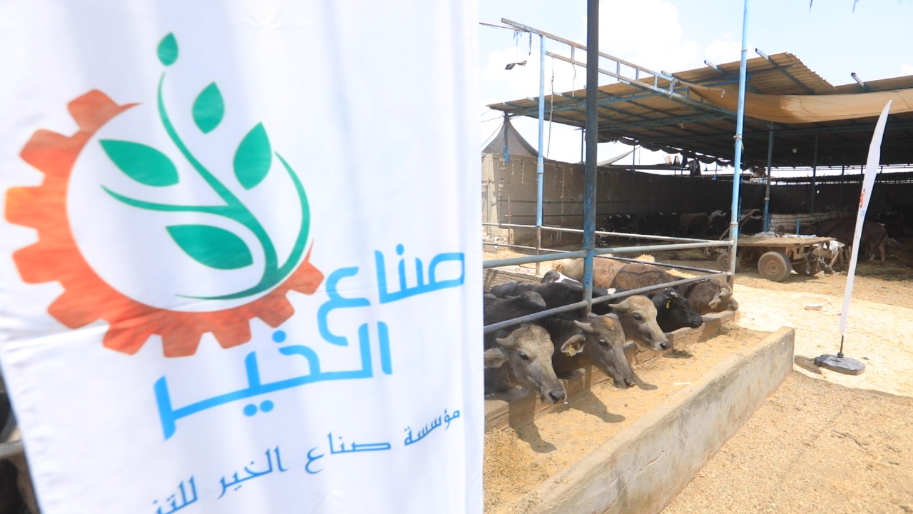 صناع الخير عضو التحالف الوطني توزع كرتونة مواد غذائية بجانب لحوم الأضاحي  (2)