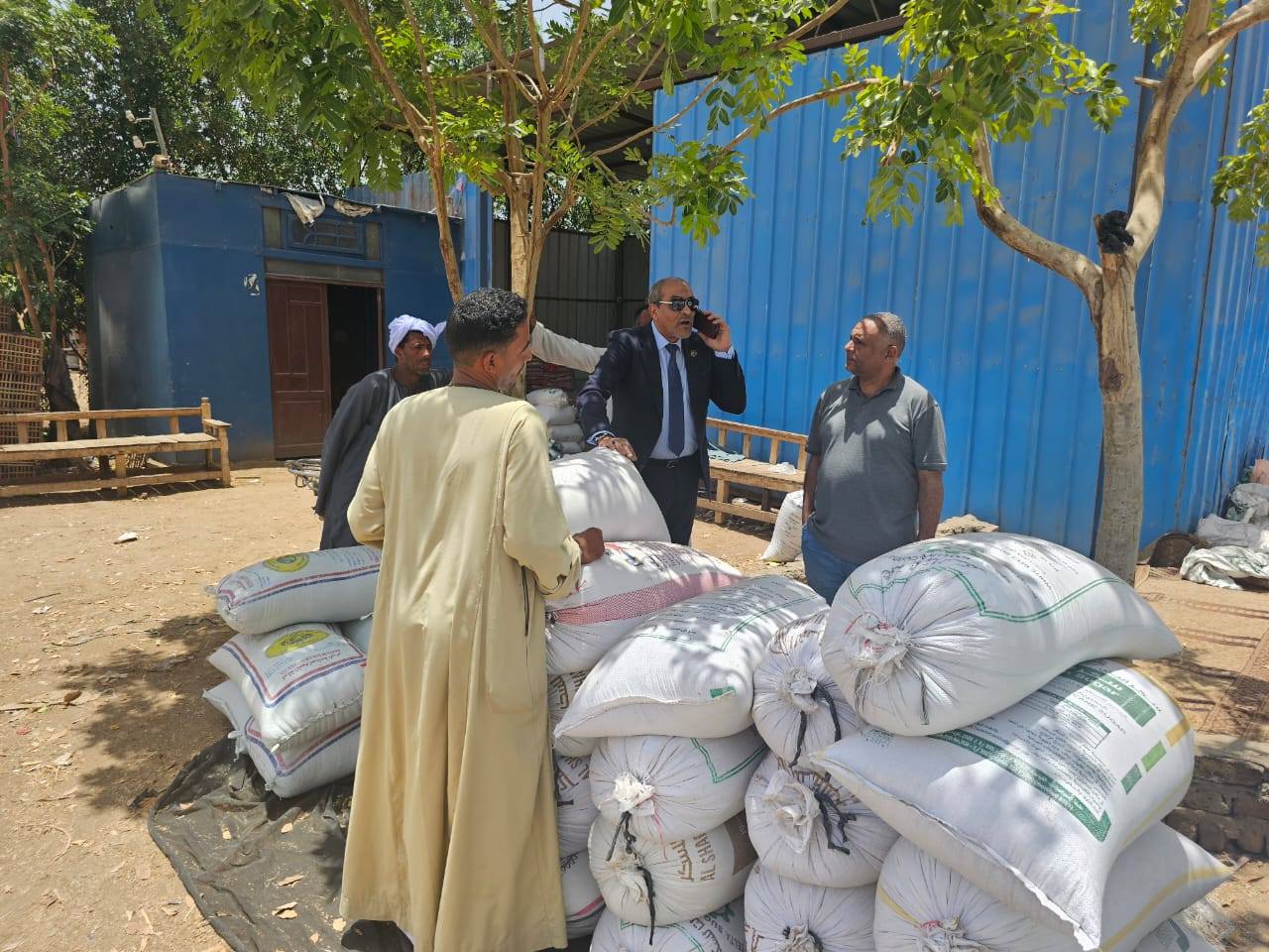 رصد عمليات توريد أطنان القمح للشون والصوامع بالأقصر رصد عمليات توريد أطنان القمح للشون والصوامع بالأقصر