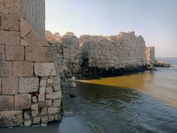 طابية الحوض الجاف (3)