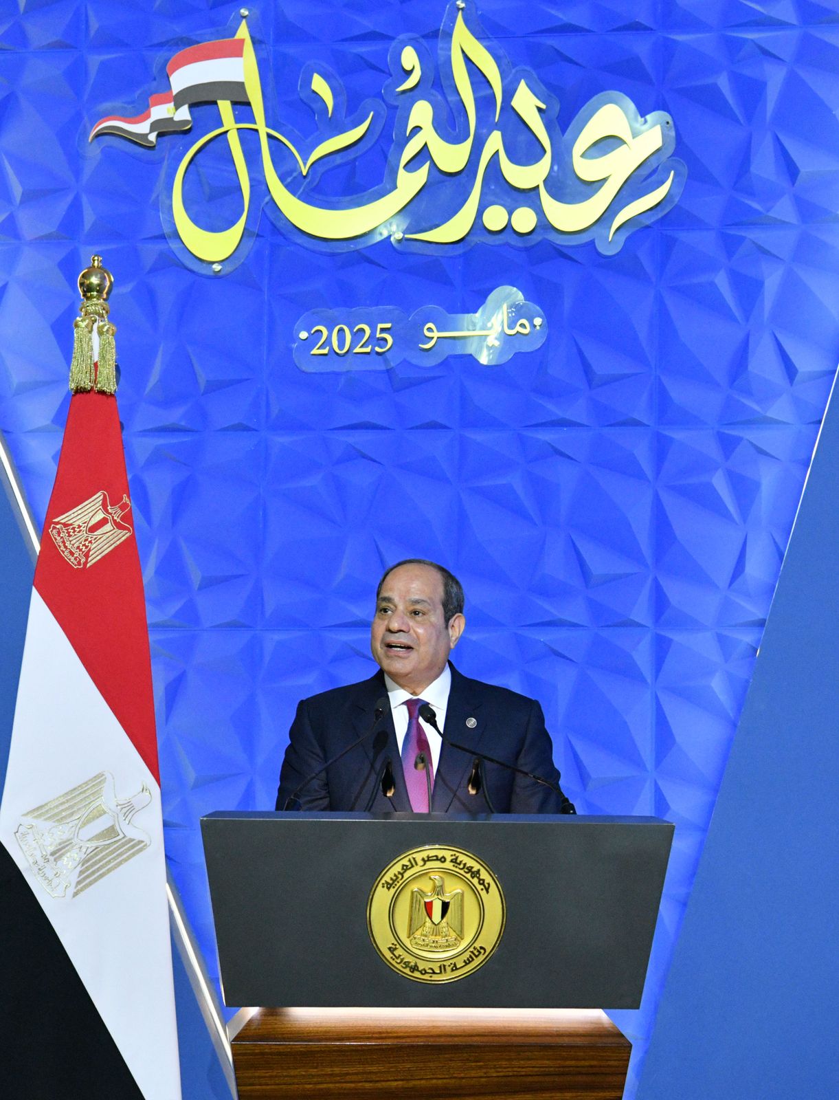السيد الرئيس عبد الفتاح السيسي السيد الرئيس عبد الفتاح السيسي