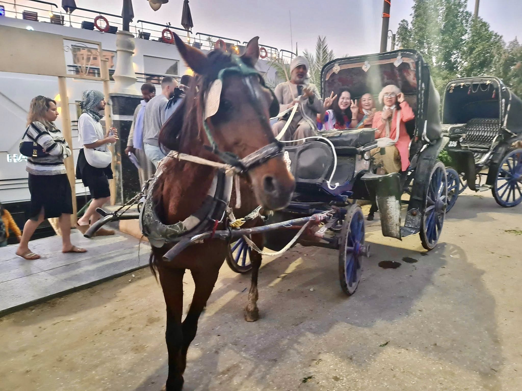 رحلات عربات الحنطور فى مدينة الأقصر رحلات عربات الحنطور فى مدينة الأقصر