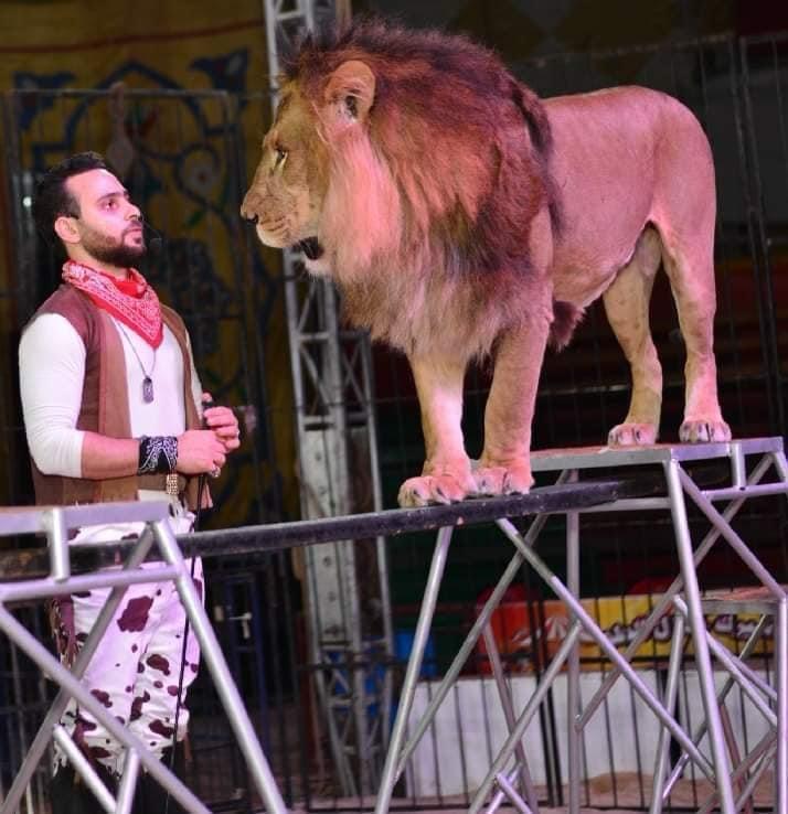 أسد أسد