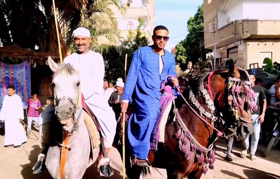 خيالة بقنا خيالة بقنا