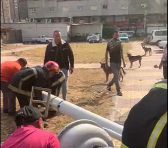 خطة متكاملة من وزارة الداخلية لمواجهة الطقس السئ بالاسكندرية (10)
