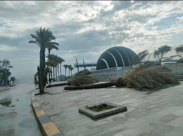 إعصار الاسكندرية إعصار الاسكندرية