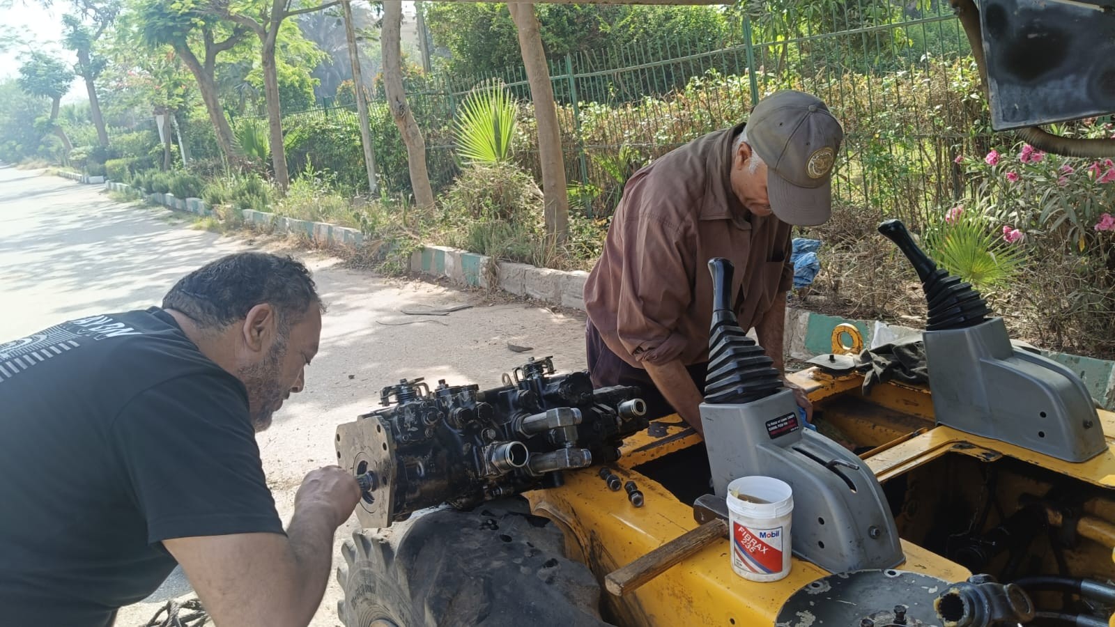 خلايا نحل بالحدائق خلايا نحل بالحدائق