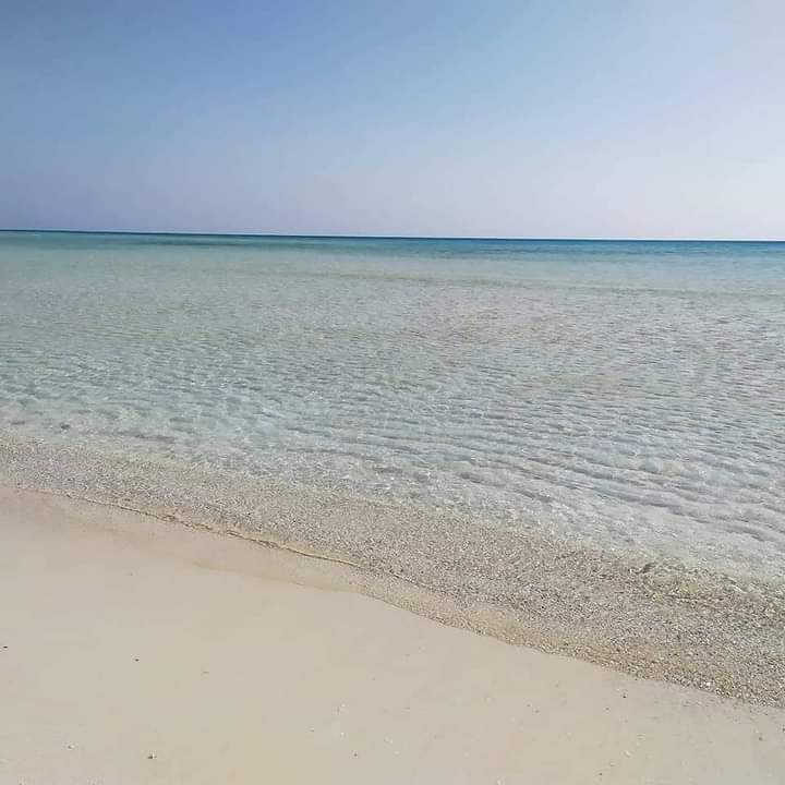 جانب من جمال الطبيعة فى مرسى علم جانب من جمال الطبيعة فى مرسى علم