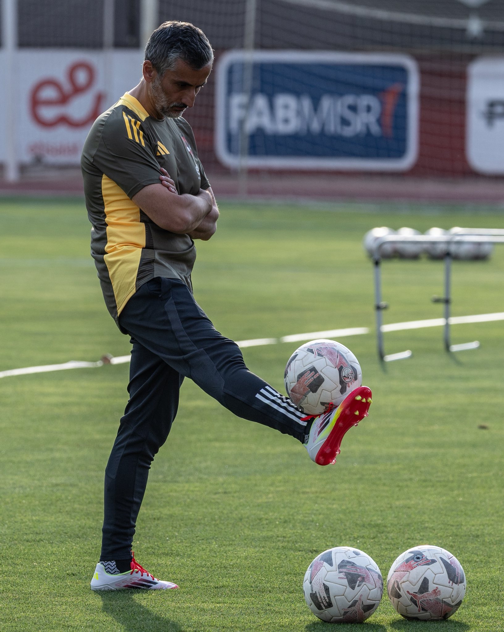 خوسيه ريبييرو مدرب الاهلي خوسيه ريبييرو مدرب الاهلي