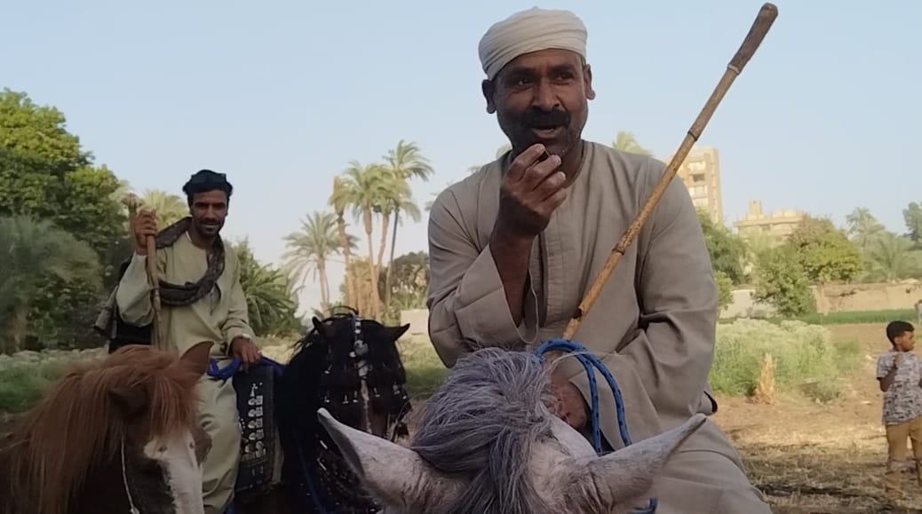 على أبو الحمد نقيب الخيالة بقنا على أبو الحمد نقيب الخيالة بقنا