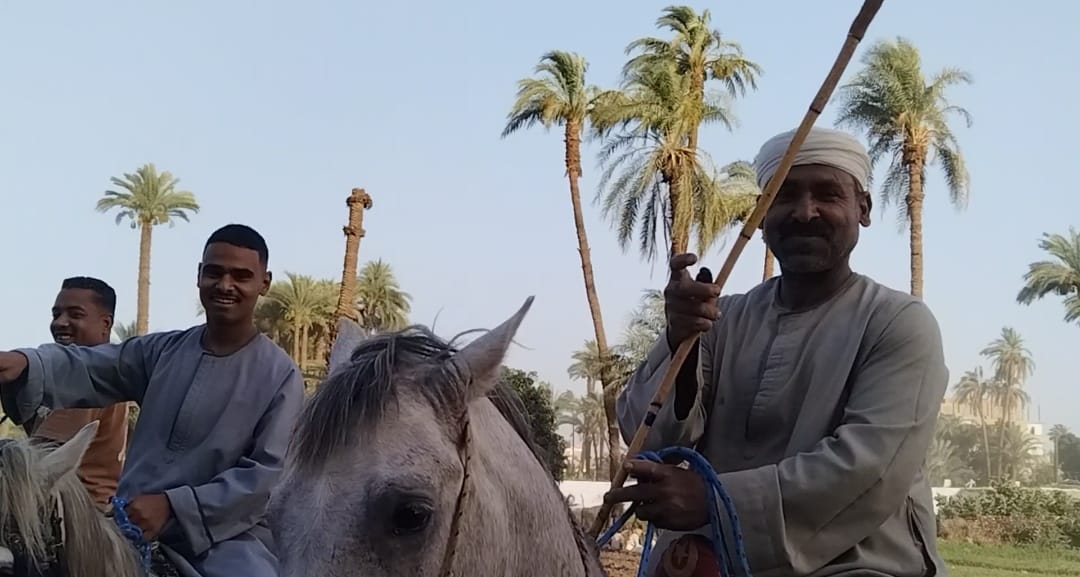 الخيال علي أبو الحمد الخيال علي أبو الحمد