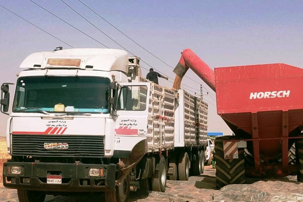 توريد محصول القمح باسوان