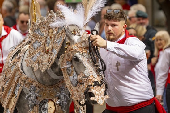 مهرجان خيول النبيذ في مورسيا (4)