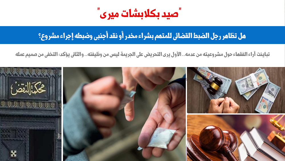 صيد صيد
