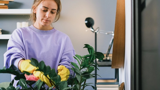 العناية بالنباتات العناية بالنباتات