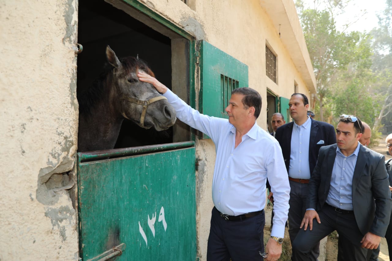 وزير الزراعة ومحافظ القاهرة يتفقدان محطة الزهراء للخيول العربية الأصيلة (3)