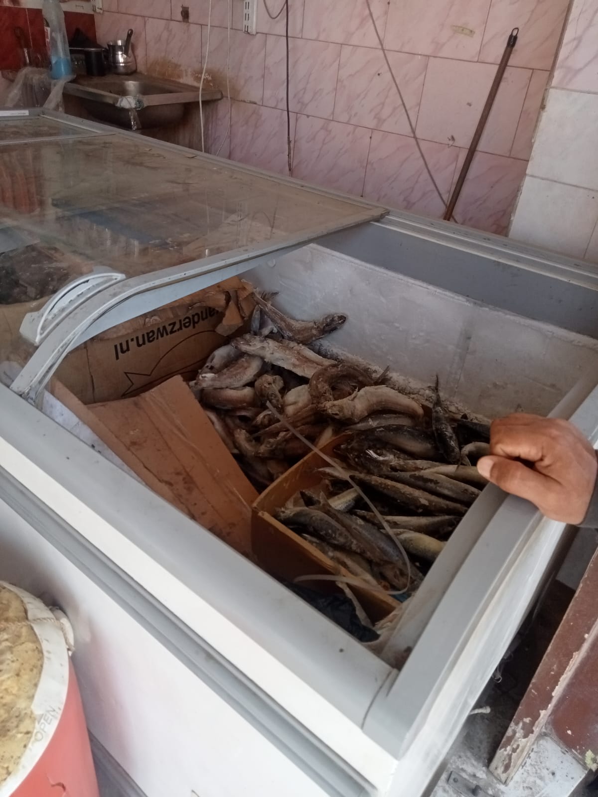 ضبط أسماك مملحة فاسدة في الجيزة