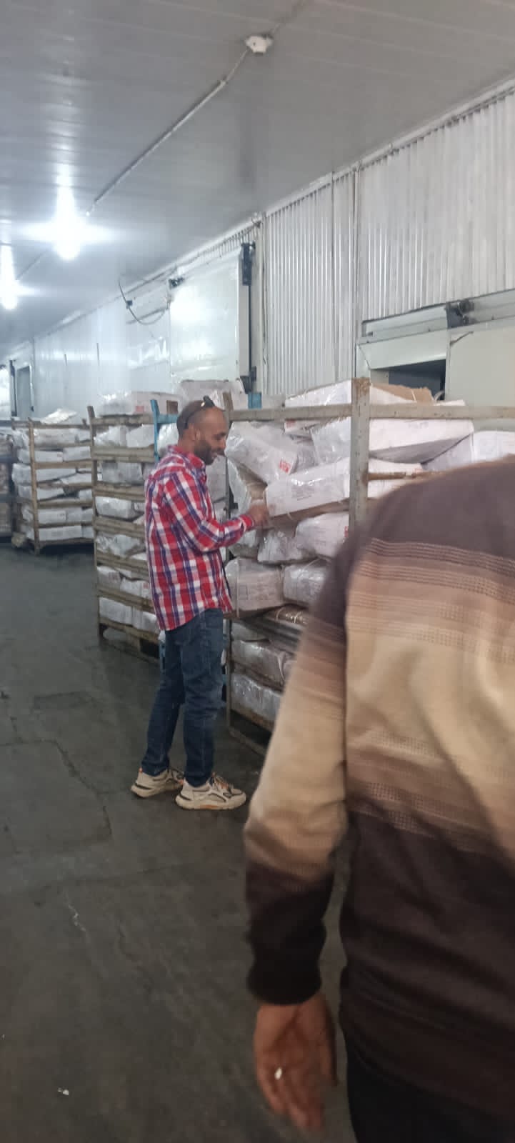 ضبط لحوم فاسدة في الجيزة