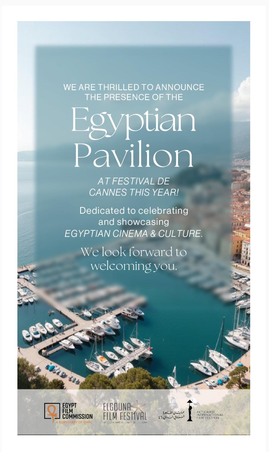 مهرجان الجونة فى كان